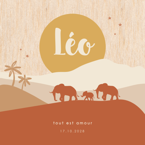 Faire-part de naissance en bois avec éléphants orange