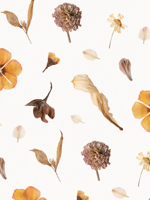 Affiche motif de fleur séchée naturelle