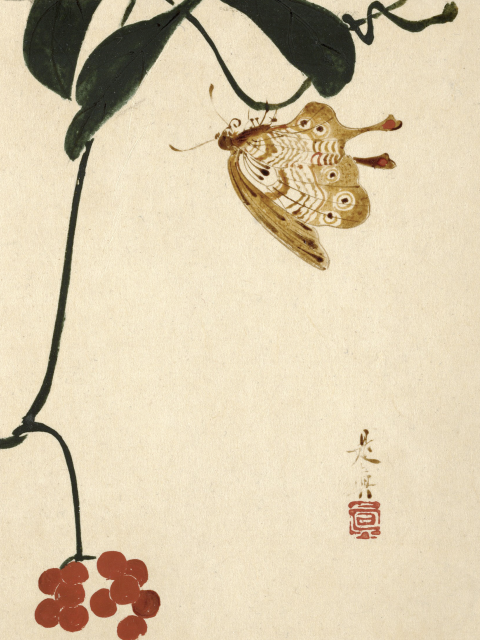 Affiche de plante de baies rouges et papillon par Shibata Zeshin