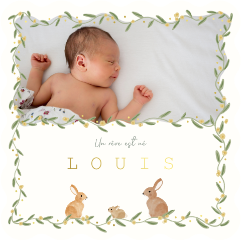 Faire-part de naissance dans forme originale avec lapins