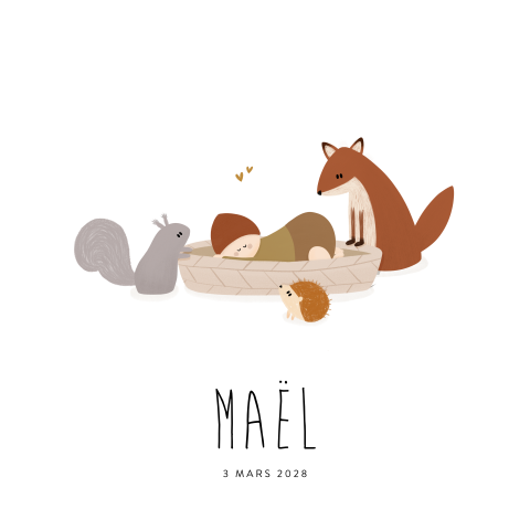 Faire-part de naissance garçon avec écureuil, renard et hérisson