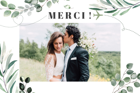 Carte de remerciement avec des feuilles d'eucalyptus et un avion