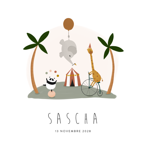 Faire-part de naissance animaux du cirque