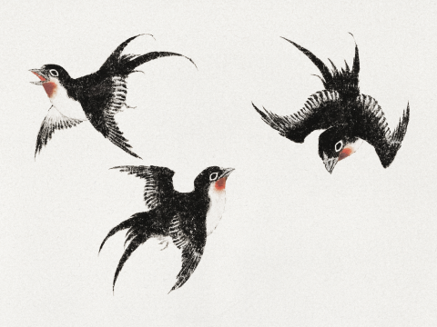 Affichez trois oiseaux de l'album de croquis de Katsushika Hokusai.