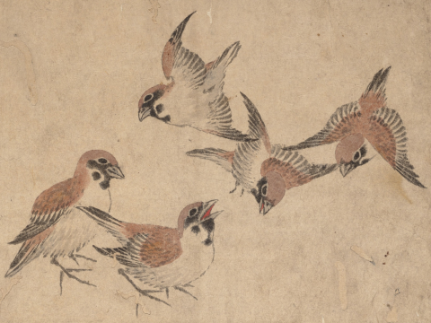 Affiche cinq oiseaux de Katsushika Hokusai