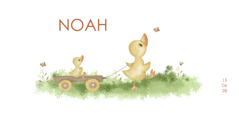 Faire-part de naissance illustré avec deux canetons et papillons