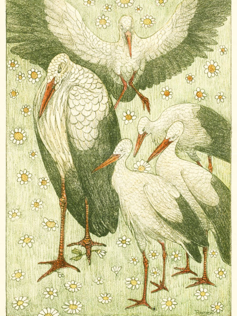 Affiche Cinq cigognes dans un pré Theo van Hoytema