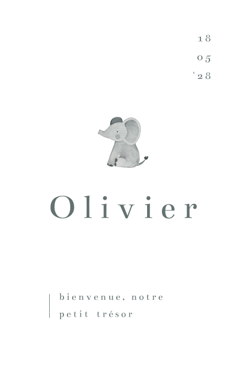 Faire-part de naissance avec petit éléphant et typographie classique