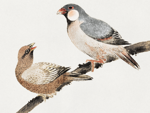 Affichez les oiseaux de Katsushika Hokusai, de l'album des croquis.