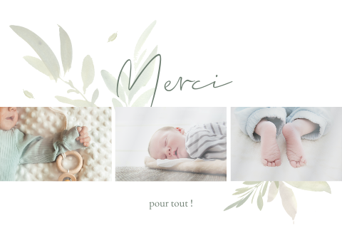 Carte de remerciement naissance avec feuillages et photos