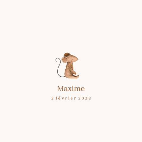 Faire-part de naissance avec illustration d'une souris
