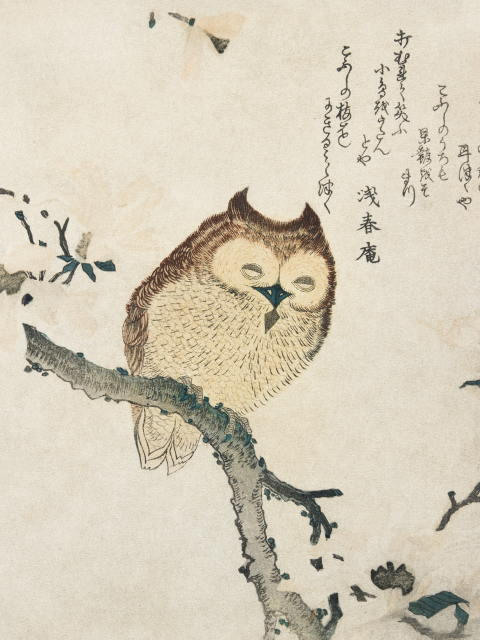 Affichez la chouette cornue sur une branche fleurie de Kubota Shunman.