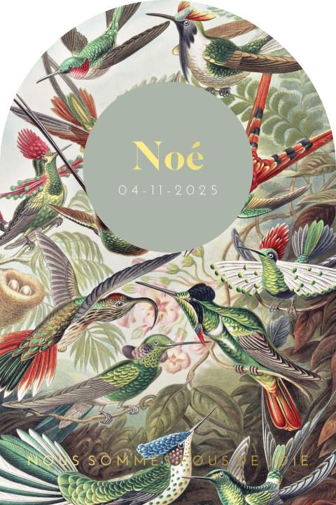 Faire-part de naissance colore avec photo, colibris et dorure