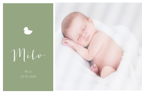 Faire-part de naissance avec une photo et canard sur fond vert