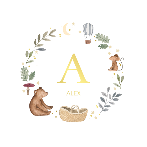 Faire-part de naissance avec ours, montgolfière et nom en dorure