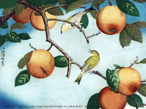Affichez Kakipflaumen et Weißaugen Kobayashi Kiyochika