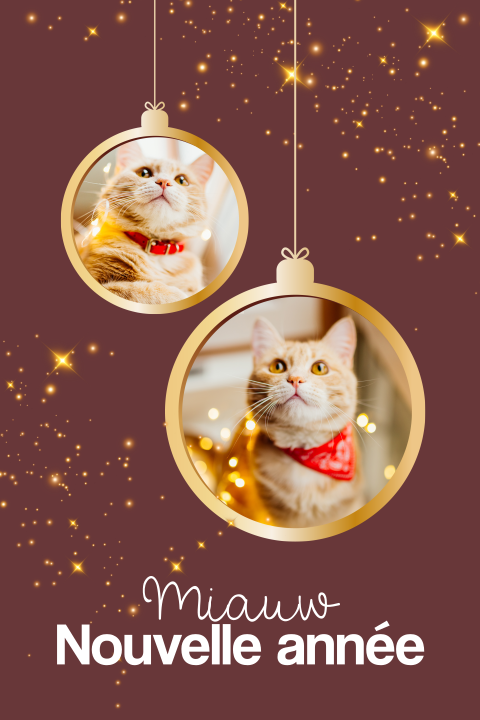 Carte de Noël avec boules de sapins et photos personnalisables