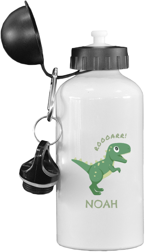 Gourde en aluminium avec dinosaure vert et nom