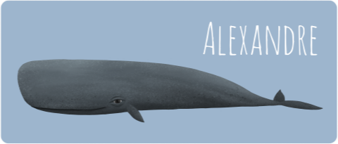 Étiquette de nom pour la rentrée scolaire avec une baleine et un nom 70x30mm