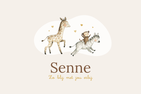 Geboortekaartje met schattige giraf, zebra en aap