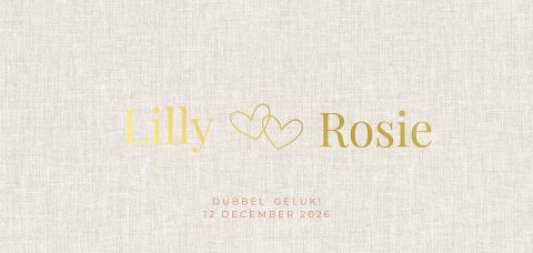 Stijlvol geboortekaartje voor tweeling