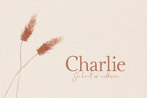 Neutraal geboortekaartje met graspluimen in bruintinten