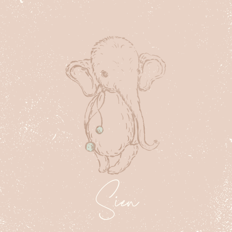 LIEF DIEREN GEBOORTEKAARTJE OLIFANT MEISJE