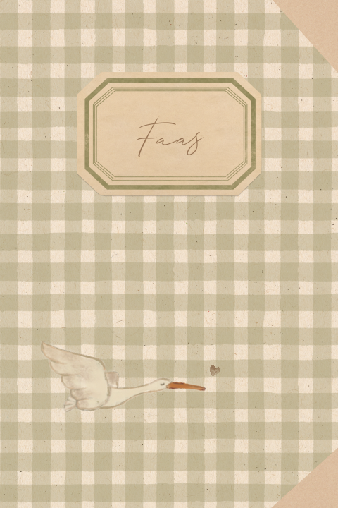 VINTAGE JONGENS GEBOORTEKAARTJE OOIEVAAR