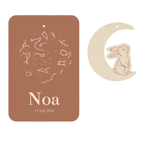 LABEL GEBOORTEKAARTJE KONIJNTJE OP MAAN MET STERRENHEMEL
