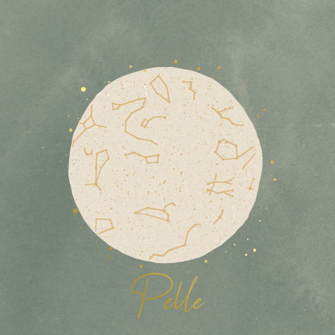 STOER STERRENSTAND GOUDFOLIE GEBOORTEKAARTJE GROEN