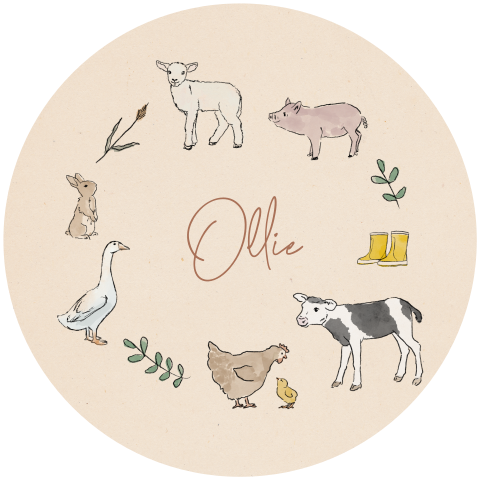 ROND NEUTRAAL GEBOORTEKAARTJE BOERDERIJDIEREN