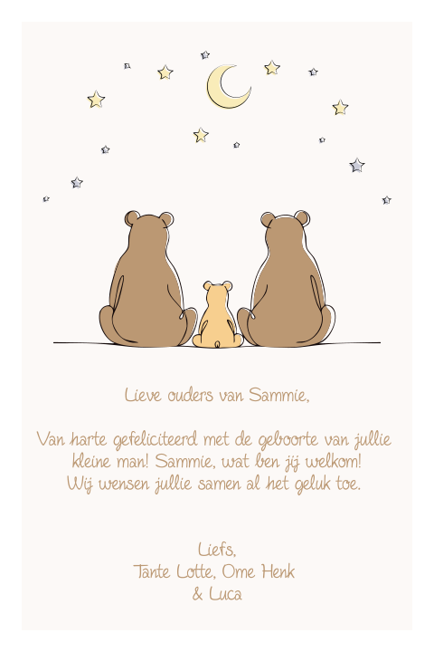 Schattige wenskaart met beren en sterren