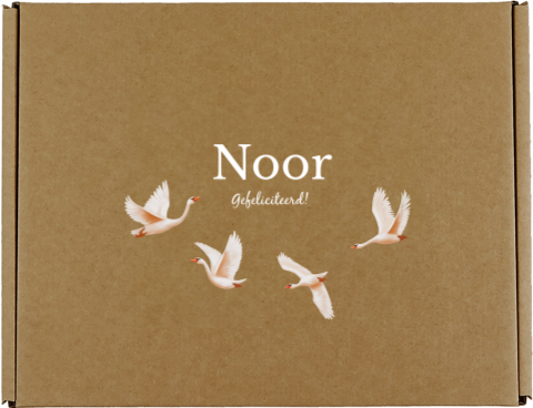 Cadeaudoos met naam en zwanen