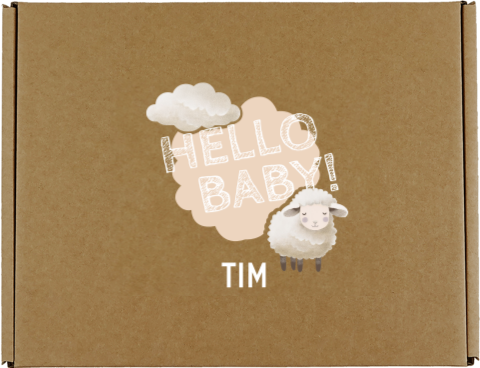 Cadeaudoos met schaapje en tekst 'hello baby'