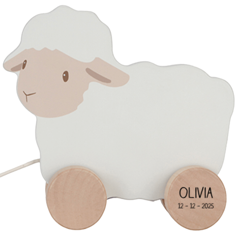 Little Dutch schaap met naam