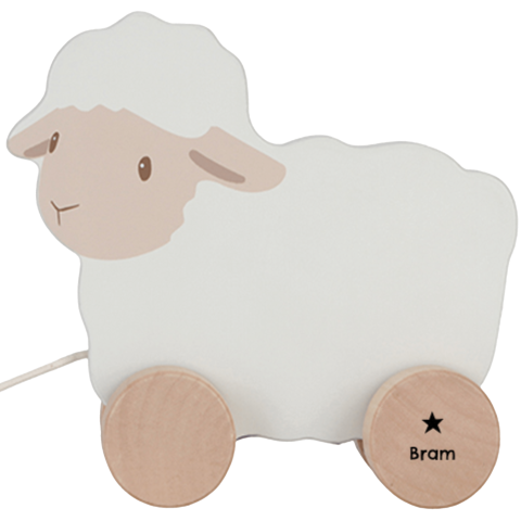 Little Dutch schaap met naam en ster