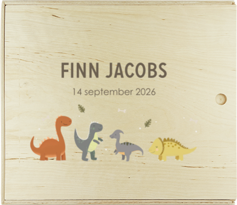Houten opbergdoos met naam en dinosaurussen