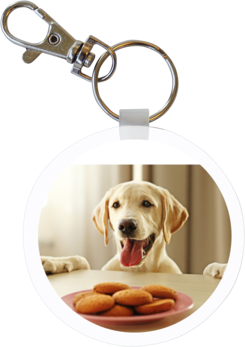 Sleutelhanger rond met foto