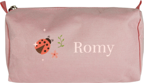 Etui met naam en lieveheersbeestjes