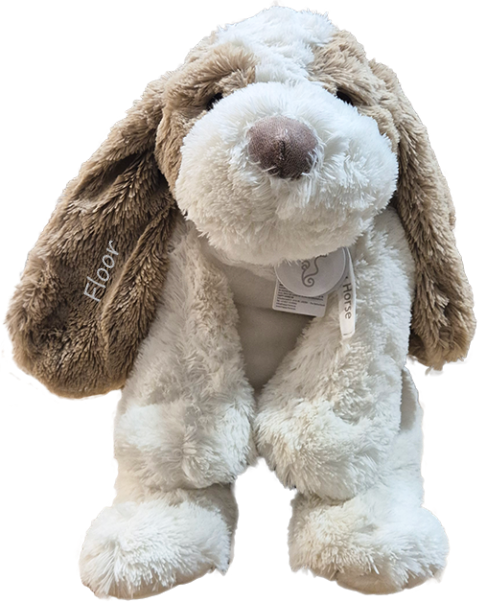 Happy Horse hond David met naam