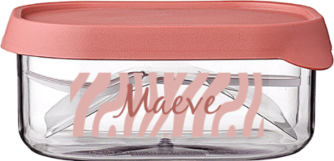 Mepal fruitbox met naam en colorblocking