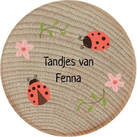 Tandendoosje met naam en lieveheersbeestjes