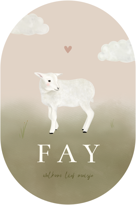 Geboortekaartje meisje voorjaar ovaal met lammetje, wolkjes & hartje in roze