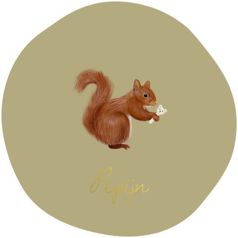 Olijfgroen geboortekaartje jongen speels rond met eekhoorn en goudfolie