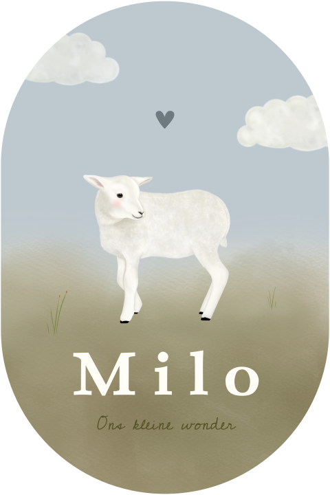 Ovaal geboortekaartje jongen met lammetje