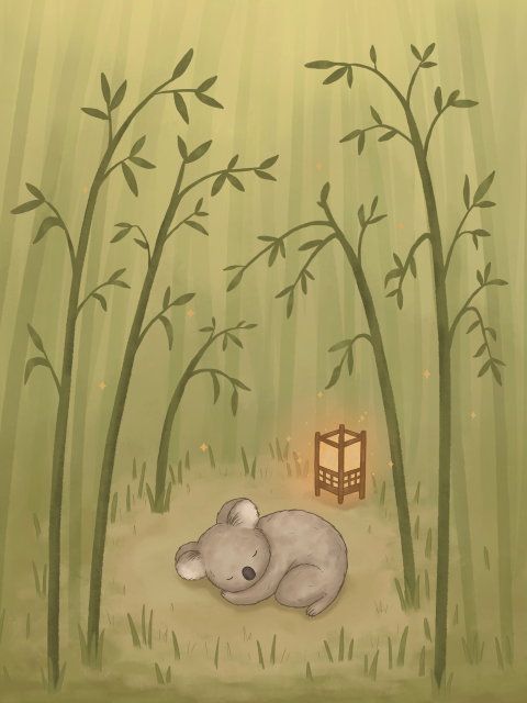 Poster koala in bamboe bos