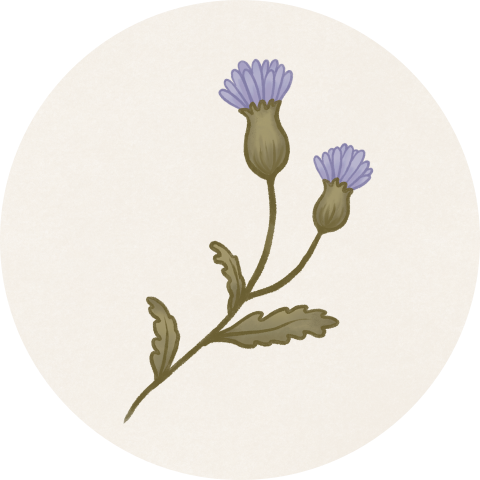 Sluitzegel paarse bloem