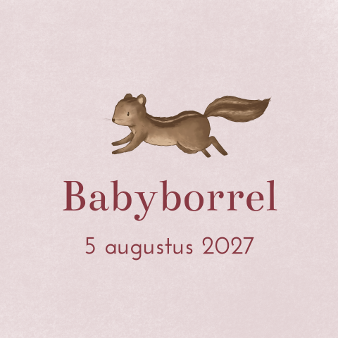 Babyborrel kaartje eekhoorn