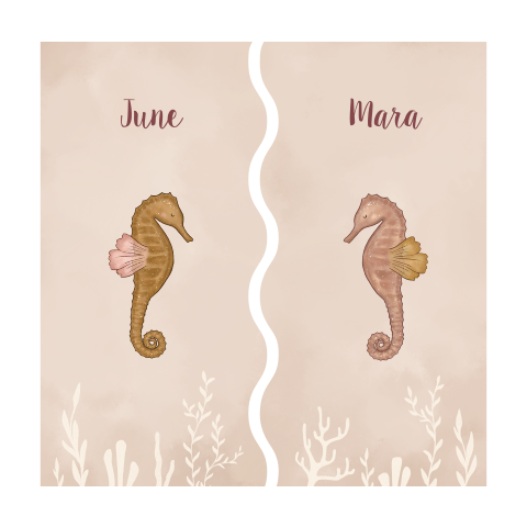 Tweeling geboortekaartjes zeepaardjes