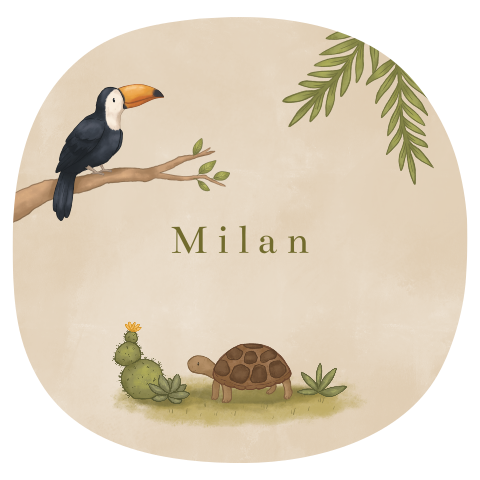 Rond geboortekaartje toekan en schildpad